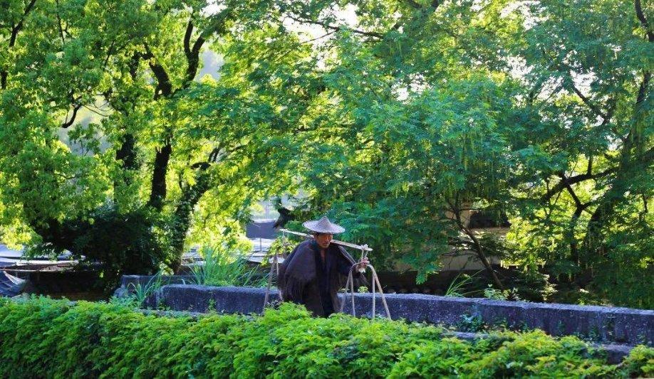 胆肥了，里夫斯2次无视哈姆，不怕被湖人交易？难道有詹姆斯撑腰