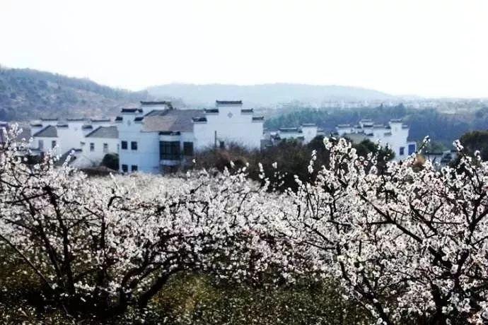 烘培蛋糕记忆卡