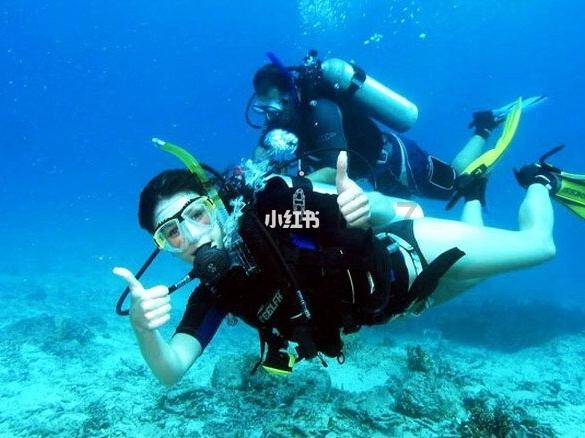 白萝卜怎样腌制，又脆又好吃，而且酸辣更开胃？游戏画面