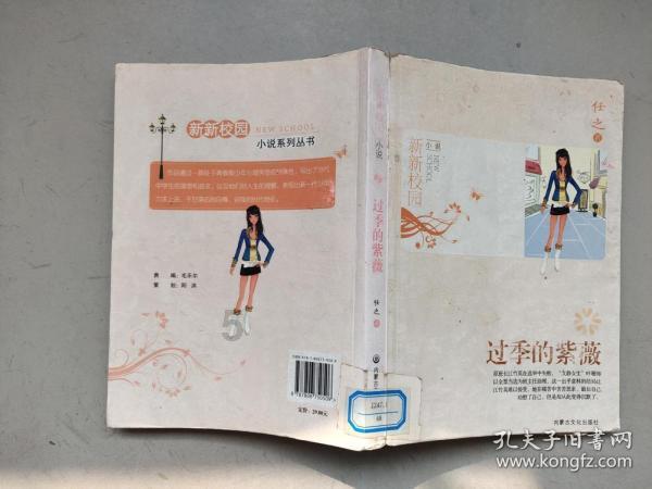 巫师2：刺客之王
